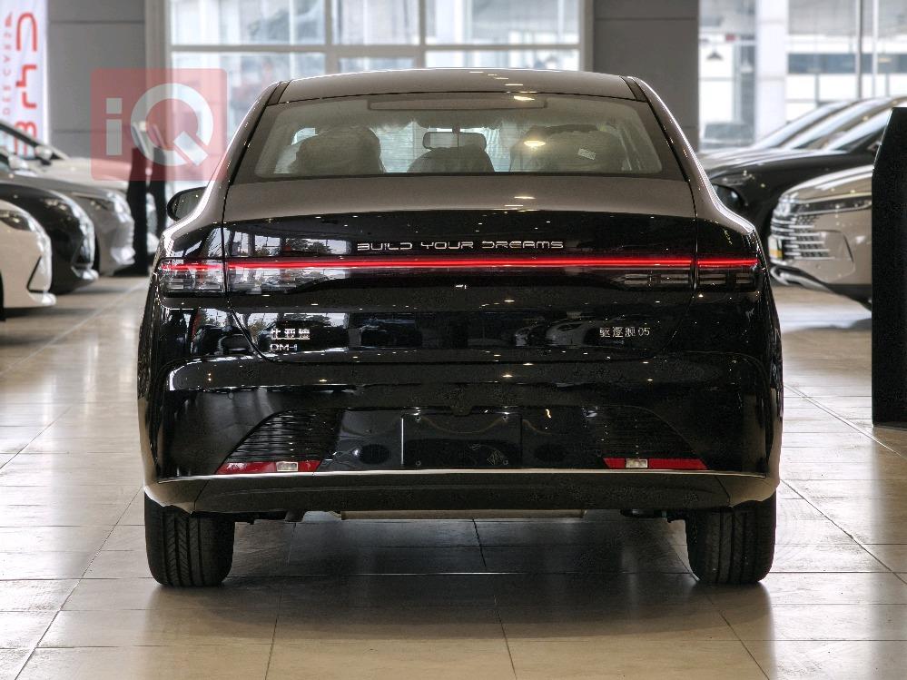 بي واي دي ديستروير 05